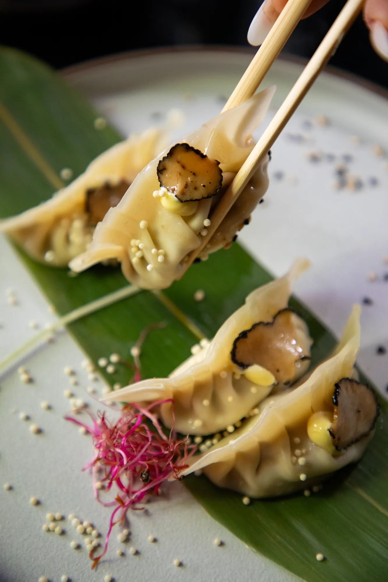 Gyoza con lamelle di tartufo su foglia verde presi con le bacchette da Konoha Sushi
